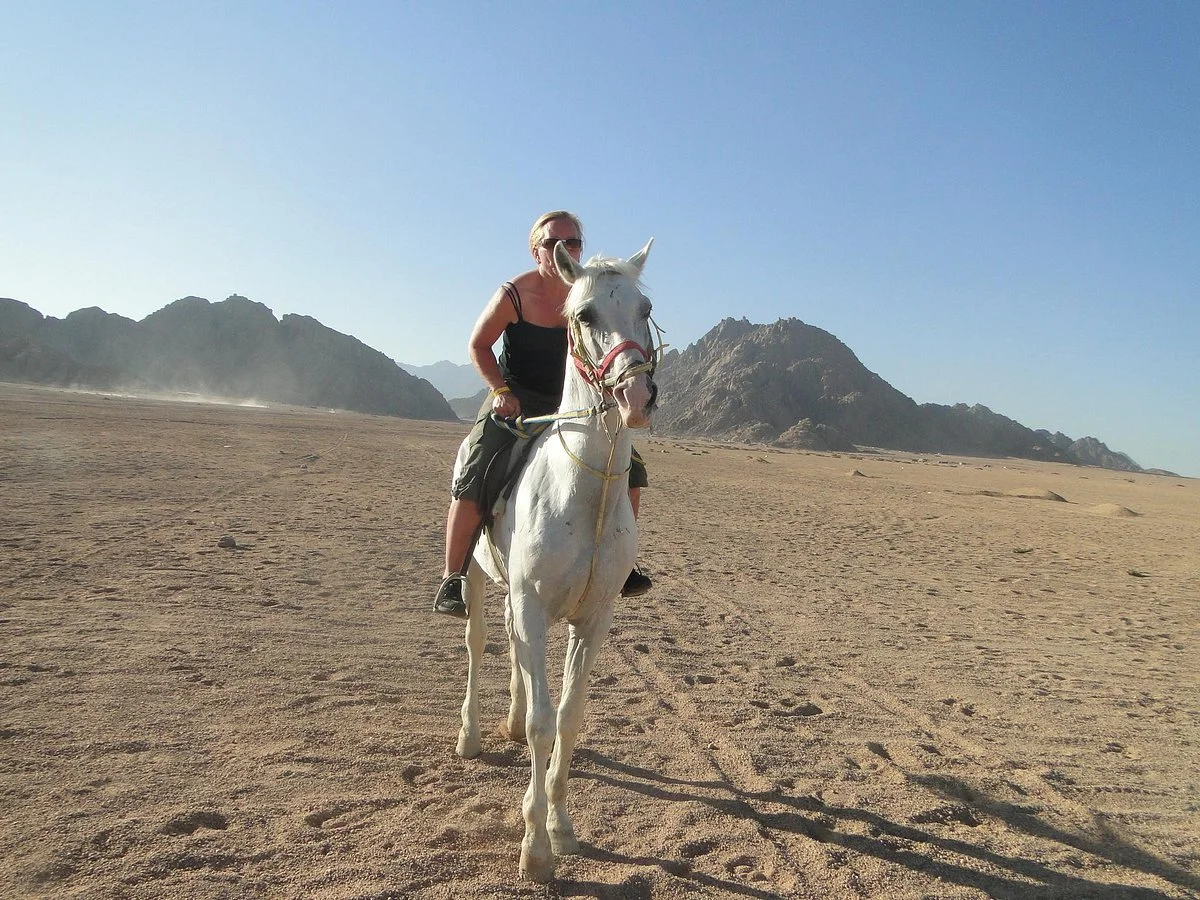 Sharm Iraqi Horse Riding