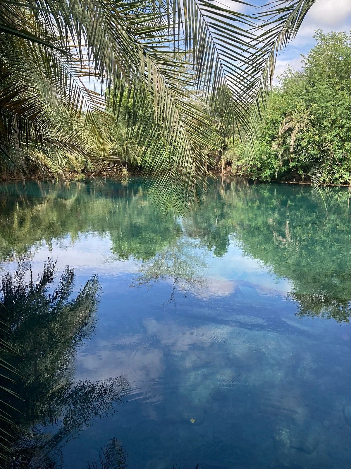 Kikuletwa Hot Springs