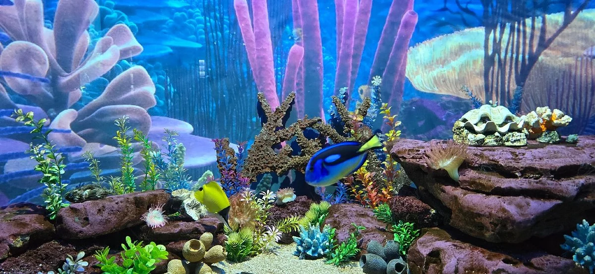 Ushaka Sea World