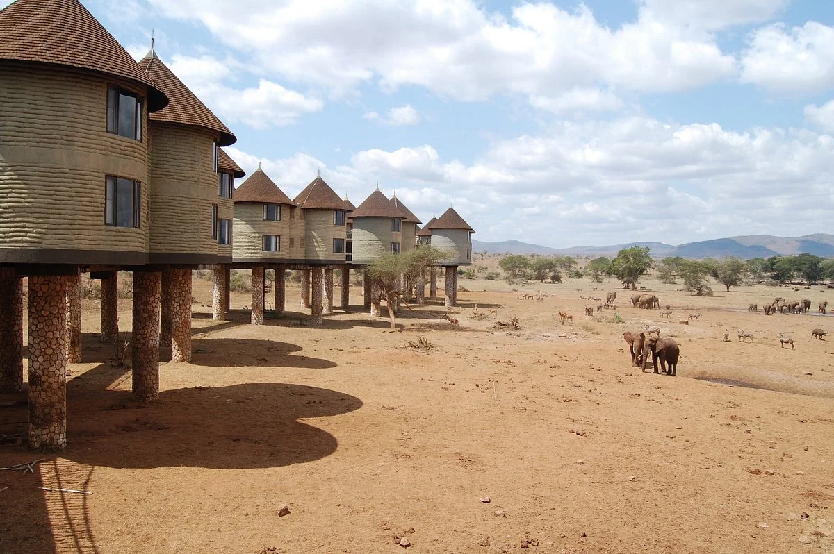 Peter Kenya Safaris