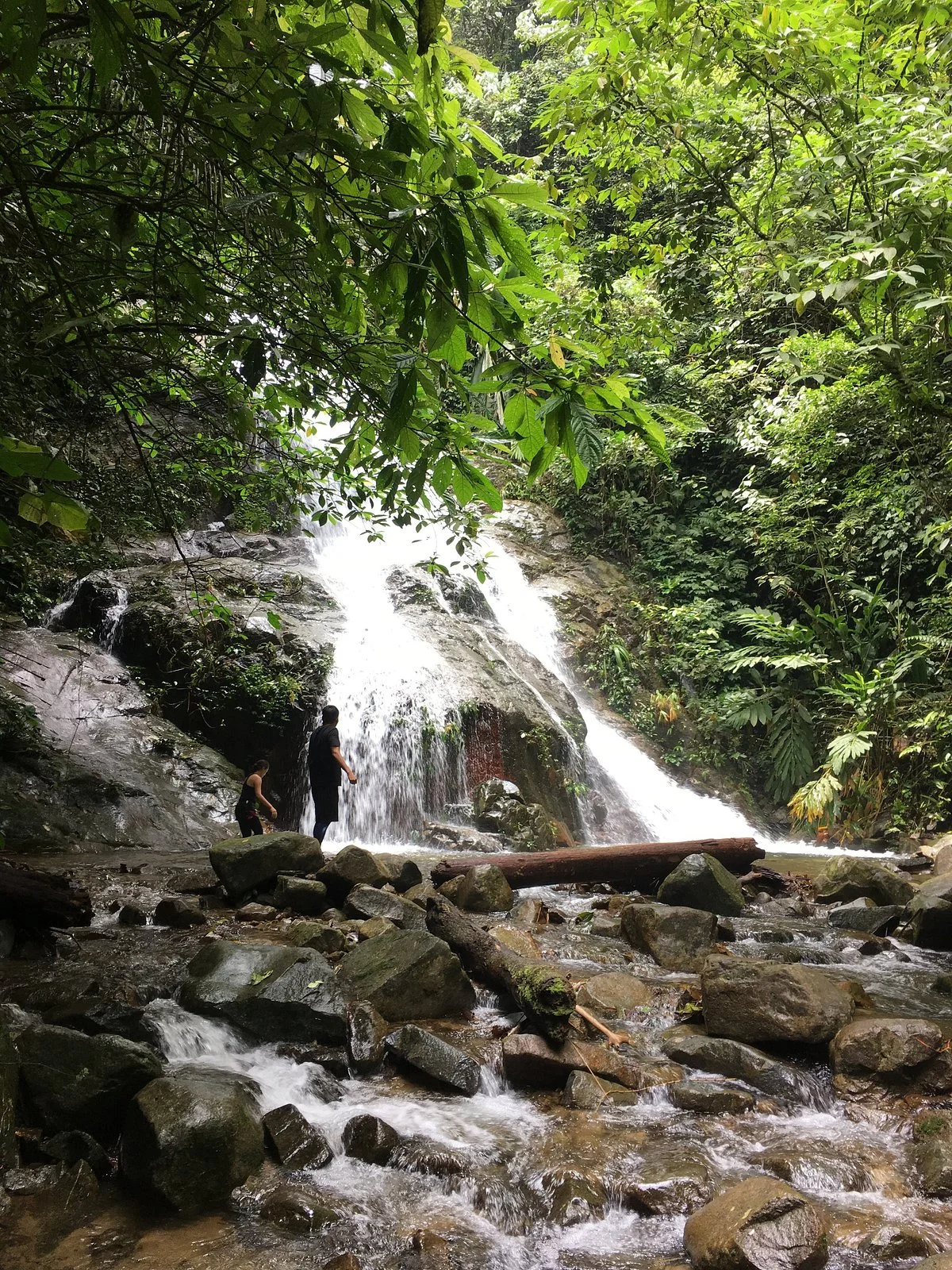 Gunung Nuang