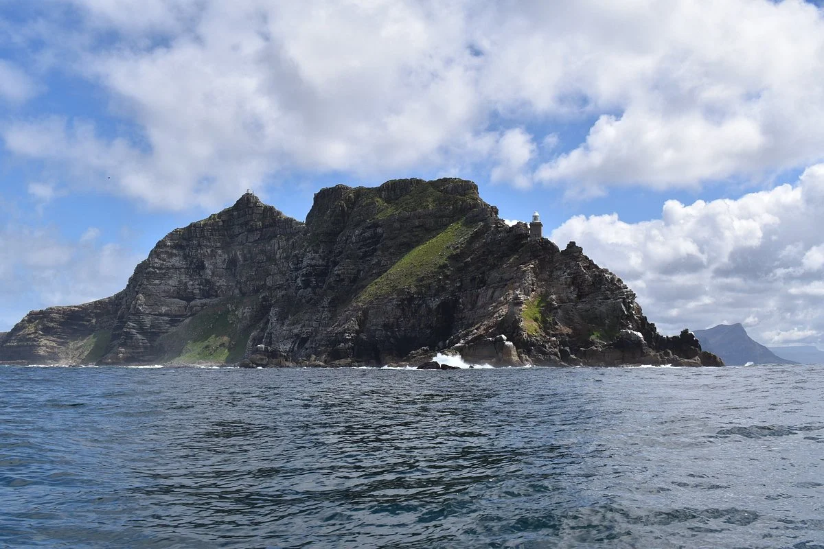 Abundance Fishing and Eco Charters