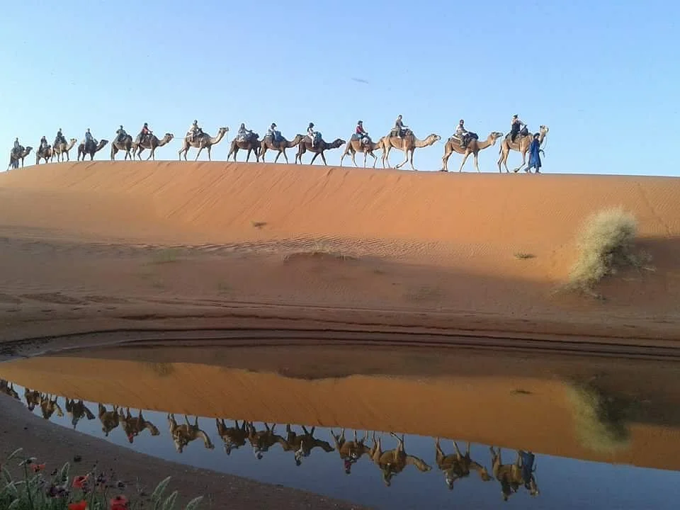 Reveal Morocco