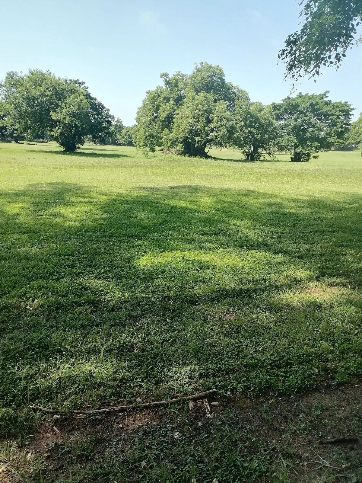 Windsor Park Mashie Course