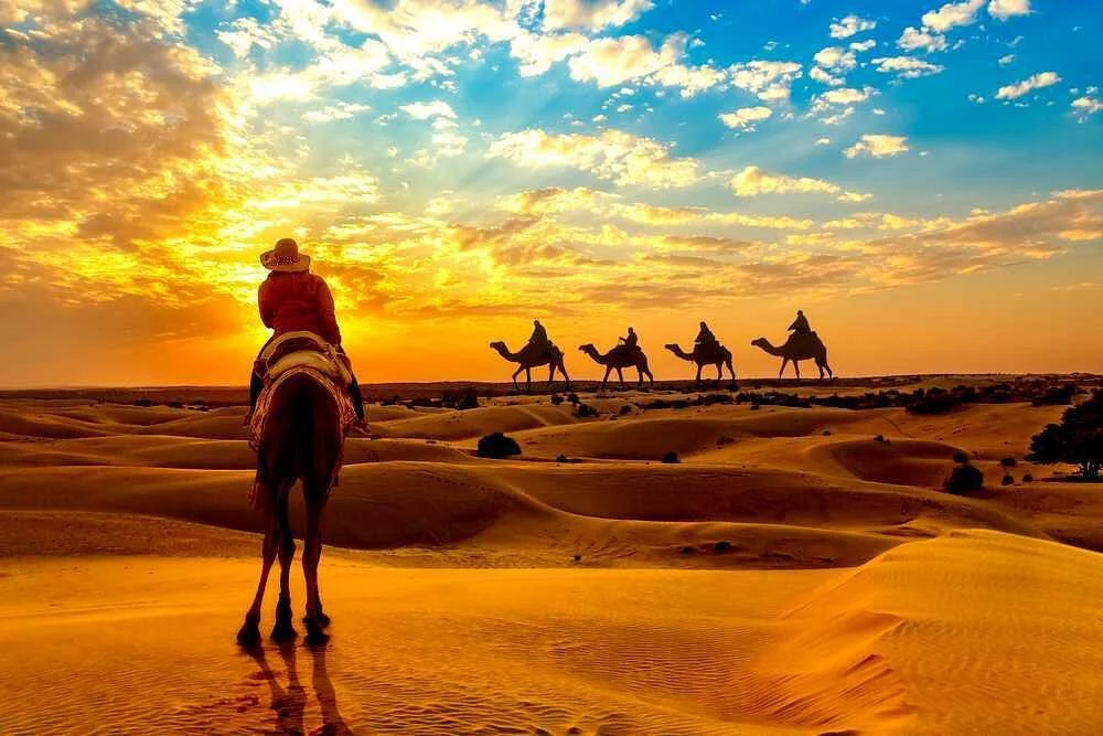 CBM Travel