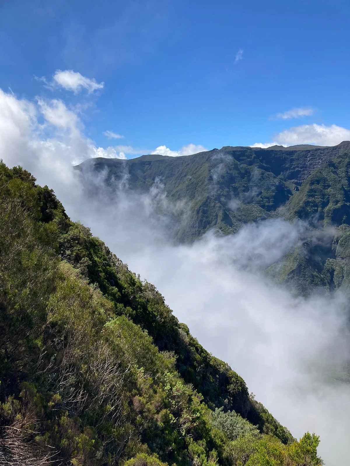 Route Forestière Du Volcan