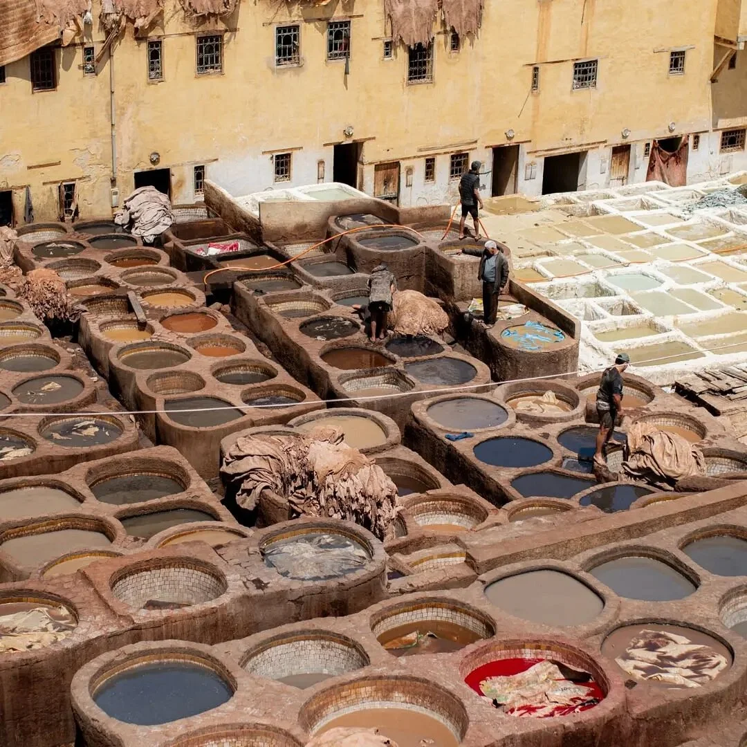Traveler In Morocco