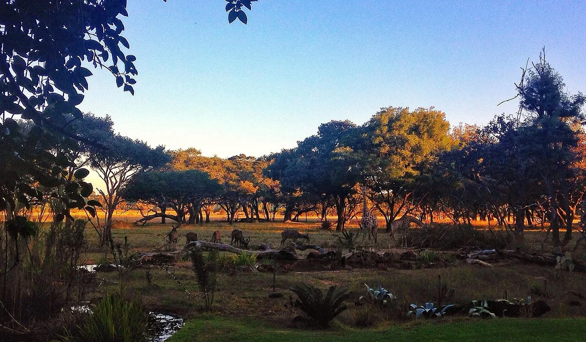 Sunsets In Africa Travel Zimbabwe