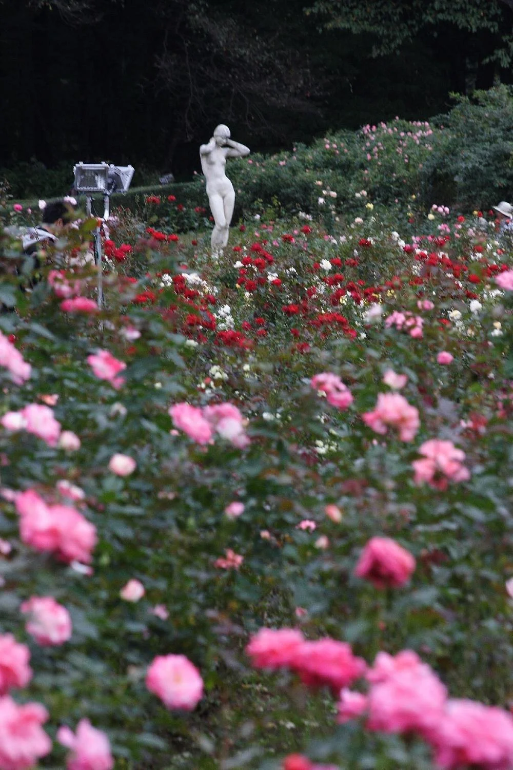 Jindai Botanical Park