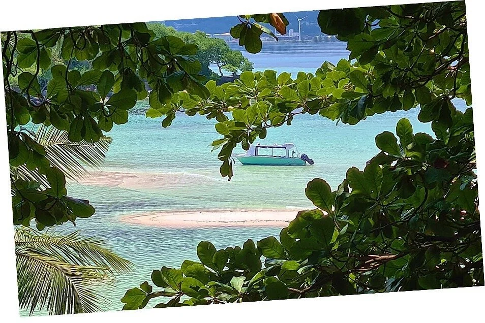 Seychelles Tours Giovi Brown