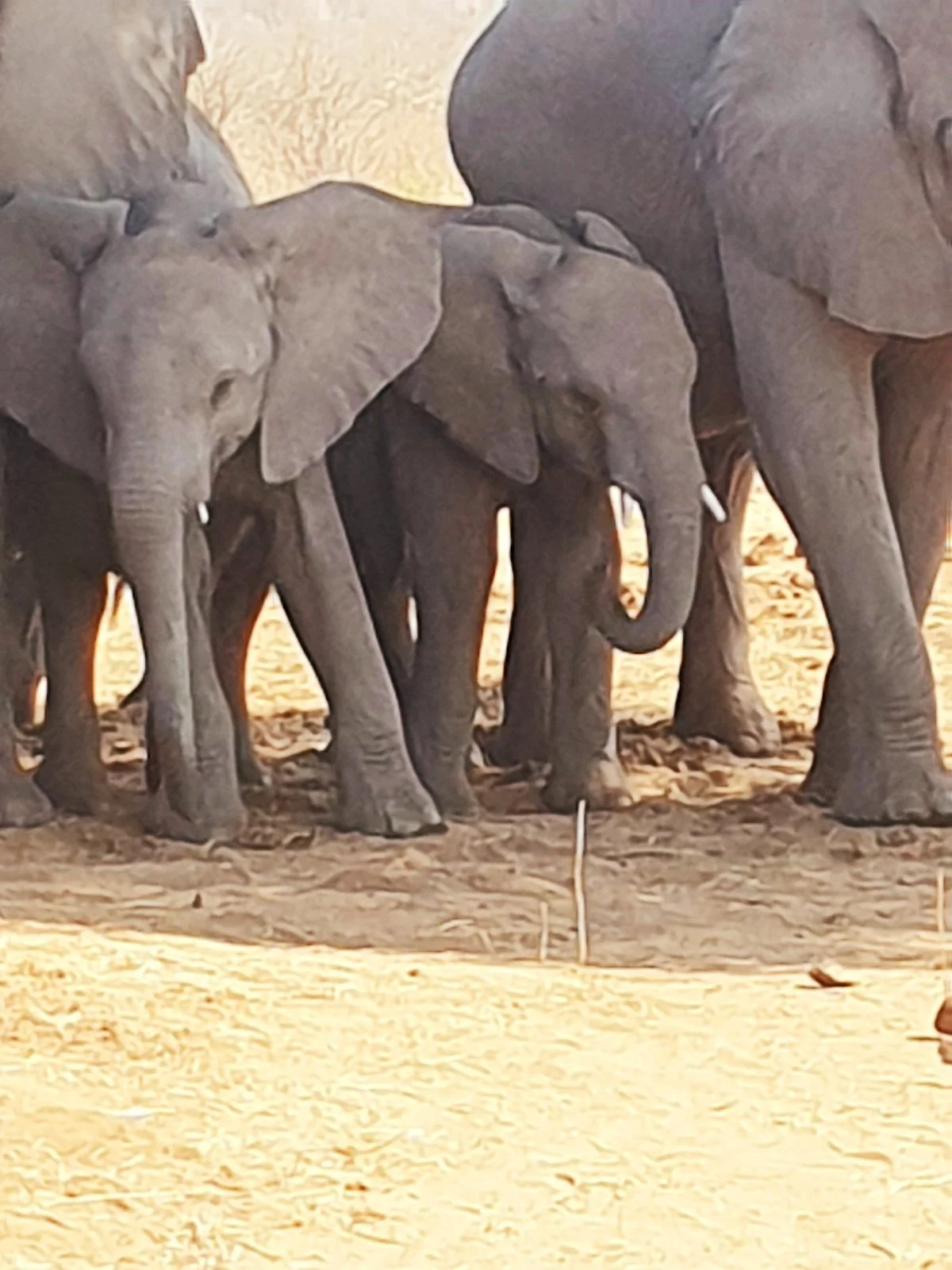 Supertime Safaris - Day Tours