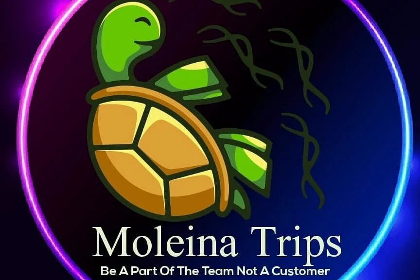 MoLeina Trips