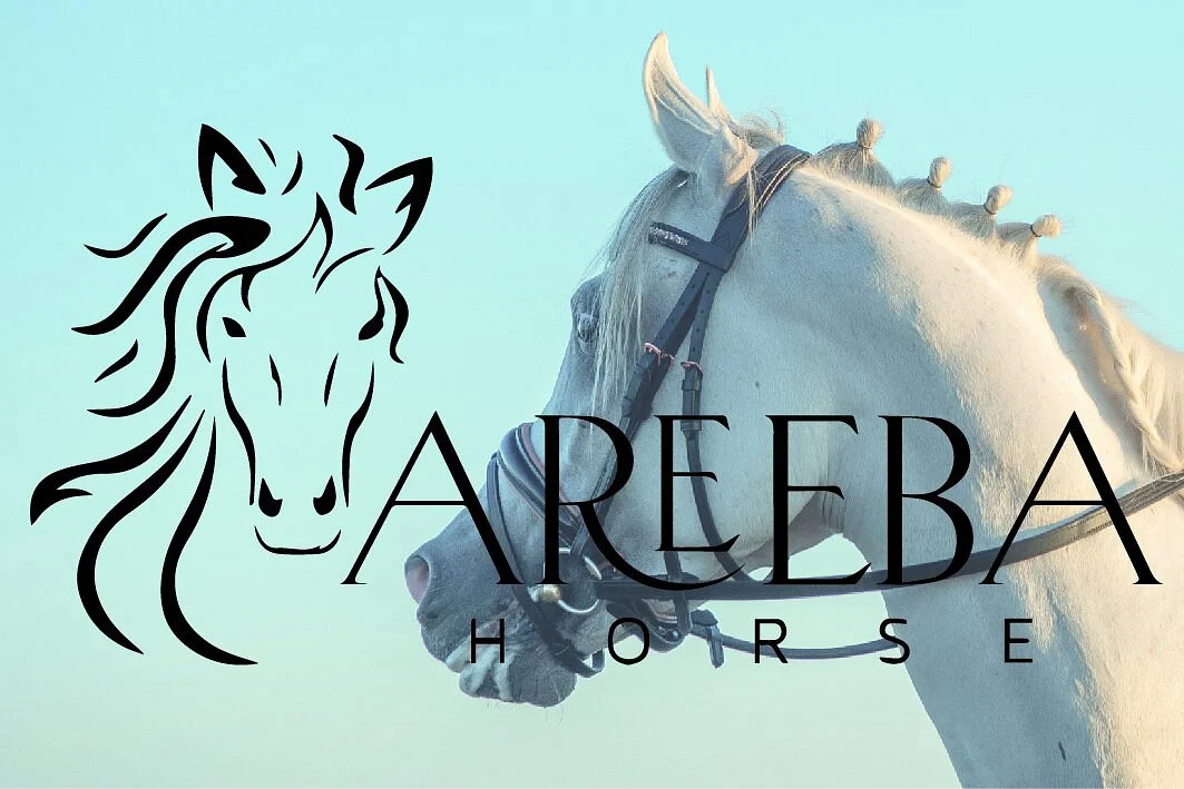 Areeba Horse