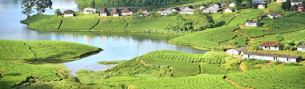 Megamalai Wildlife Sanctuary