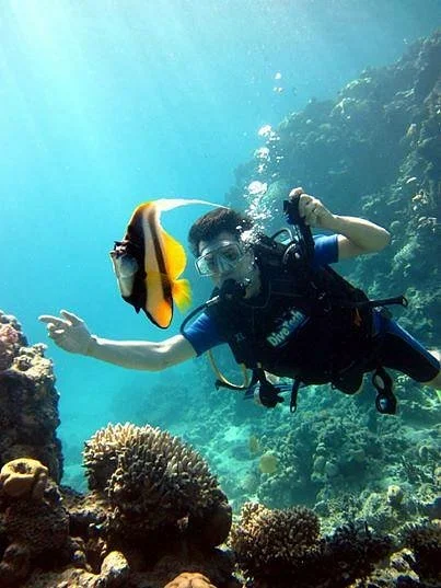 Magic Dive Club