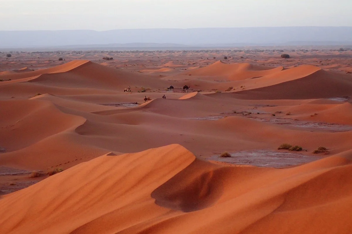 Exclusive Desert