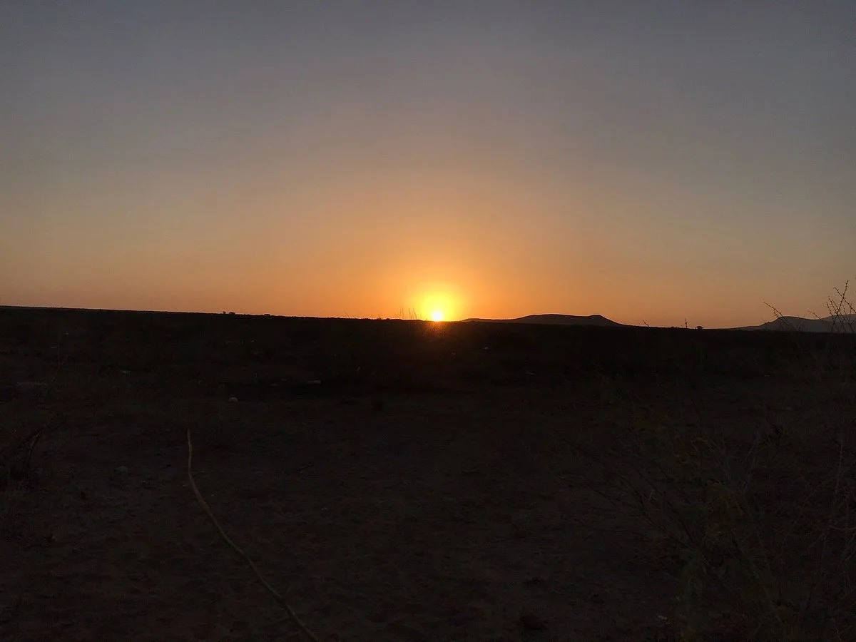 Yangudi Rassa National Park