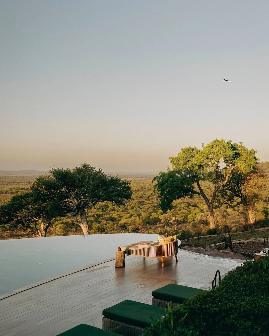 Good And Quality Safaris