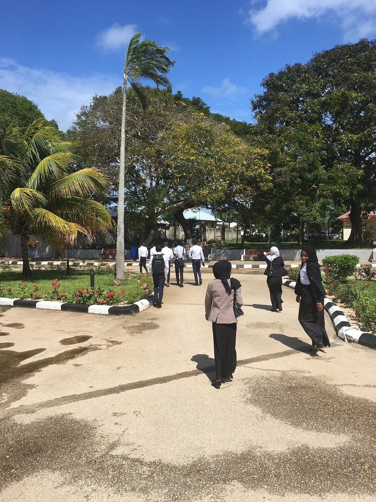 Zanzibar Airport Transfers