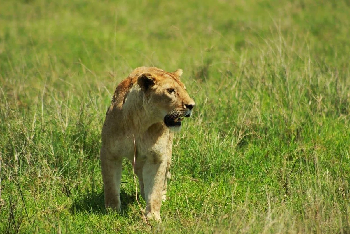 One Way Adventures Tanzania