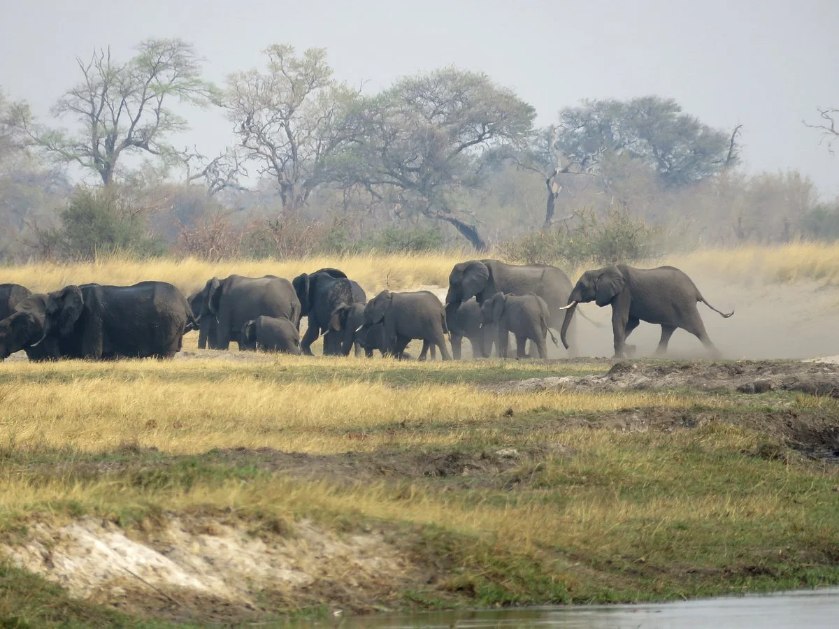 Kwando Core Area