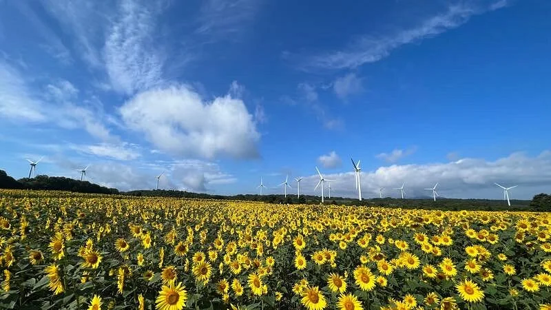 Koriyama Nunobiki Kaze no Kogen