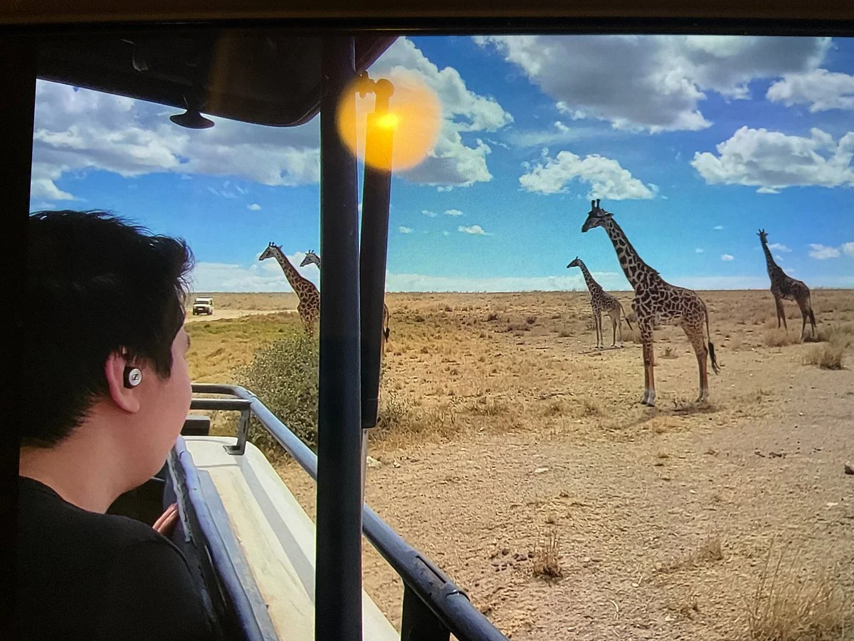 Top Of Africa Treks And Safaris