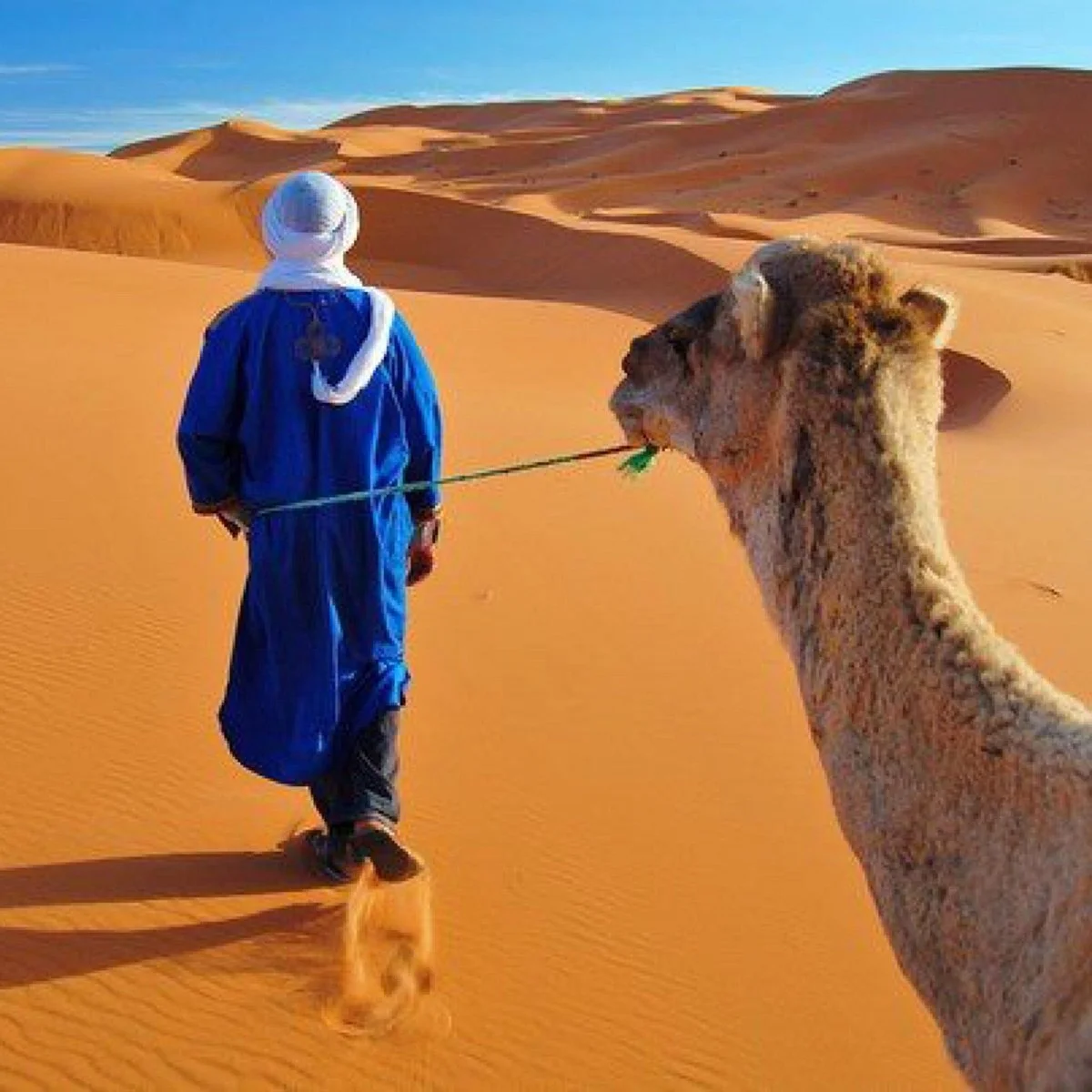 Moroccan Dream Tour