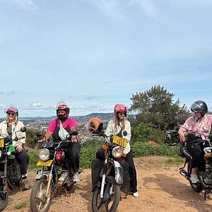 Silver Bird Tours
