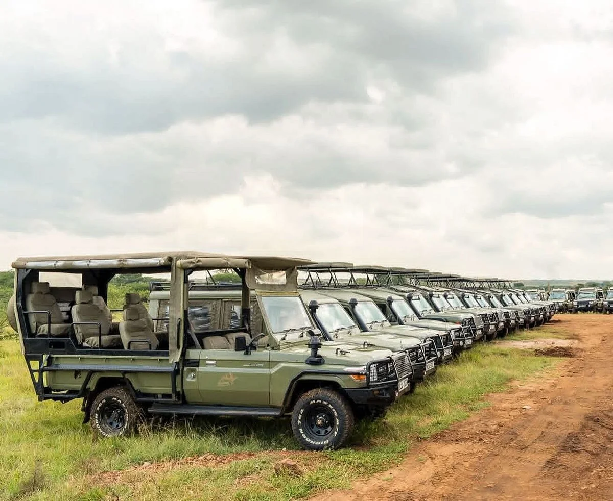 Ecobeast Travel & Safaris Ltd
