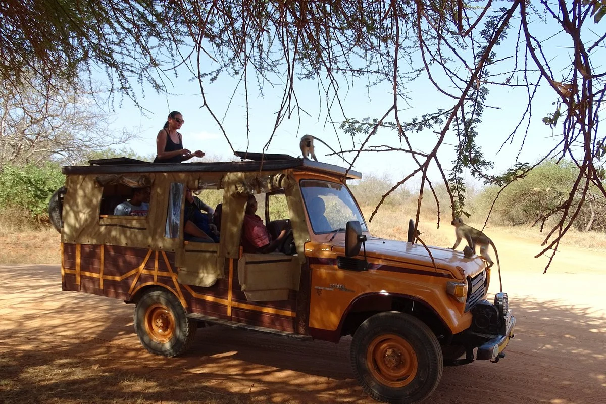 Lofty Tours & Safaris