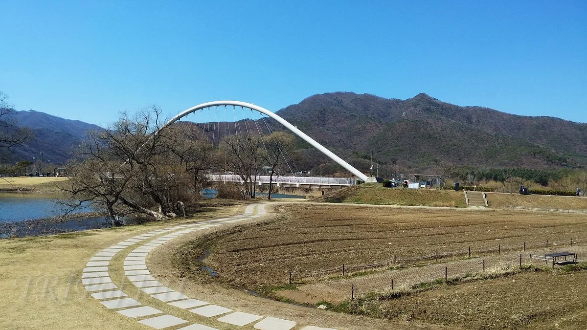 Water Garden