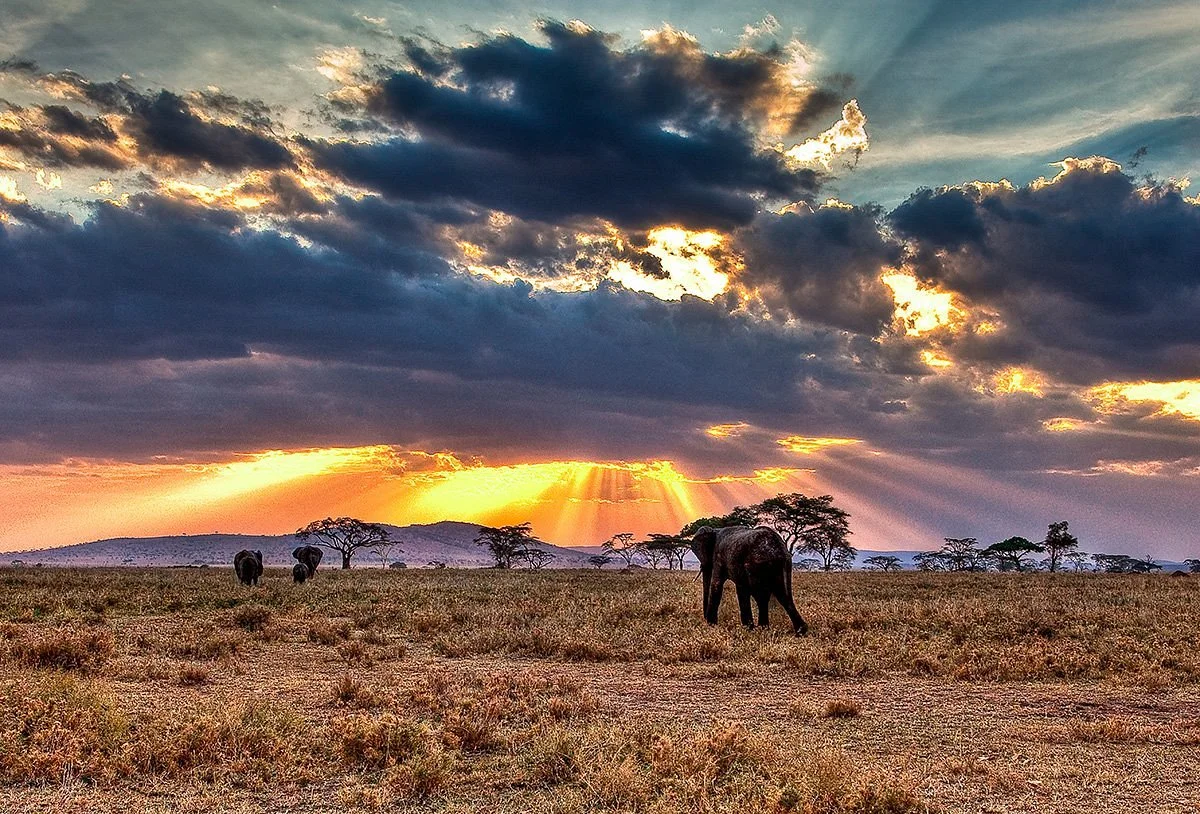 Pray Tours and Safaris