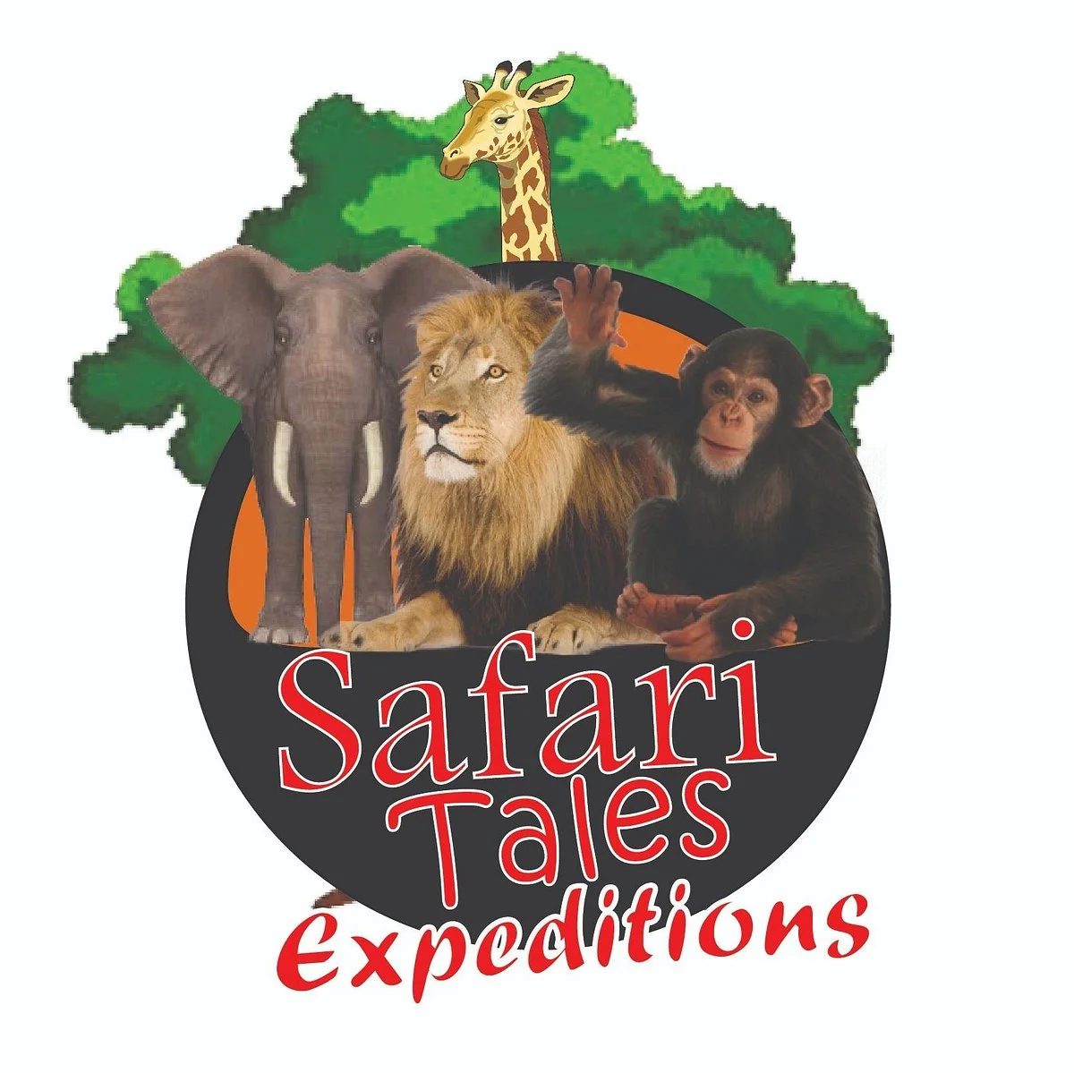 Safari Tales Expeditions