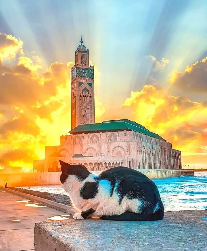 Morocco Visit Plan