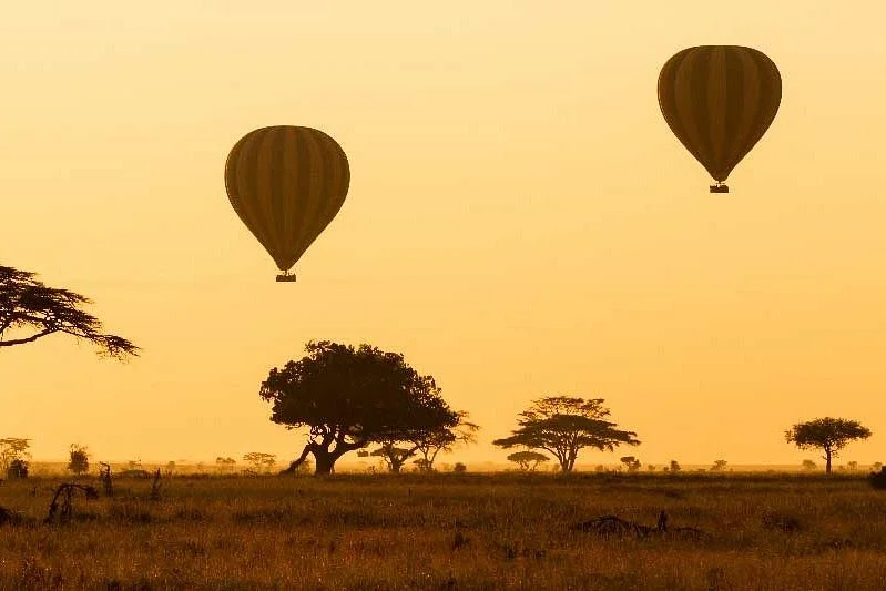 Ultimate Serengeti