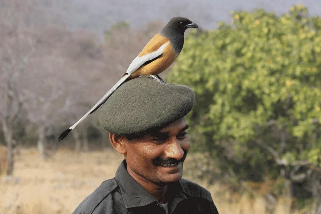 Escape to the Wild Birding and Wildlife Tours
