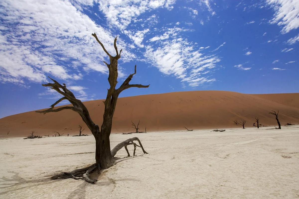 Oasis Safaris Namibia