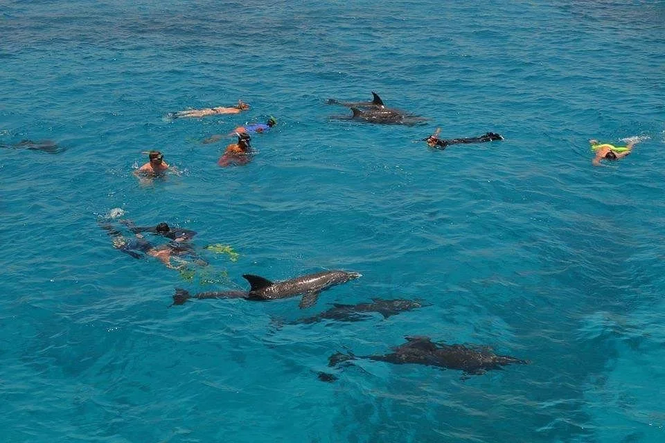 Best Trips hurghada