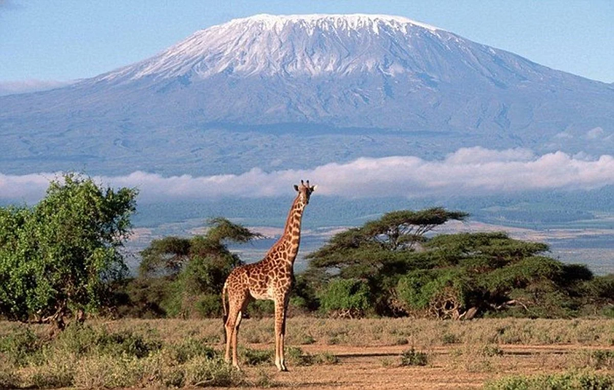 Vivutio Expeditions