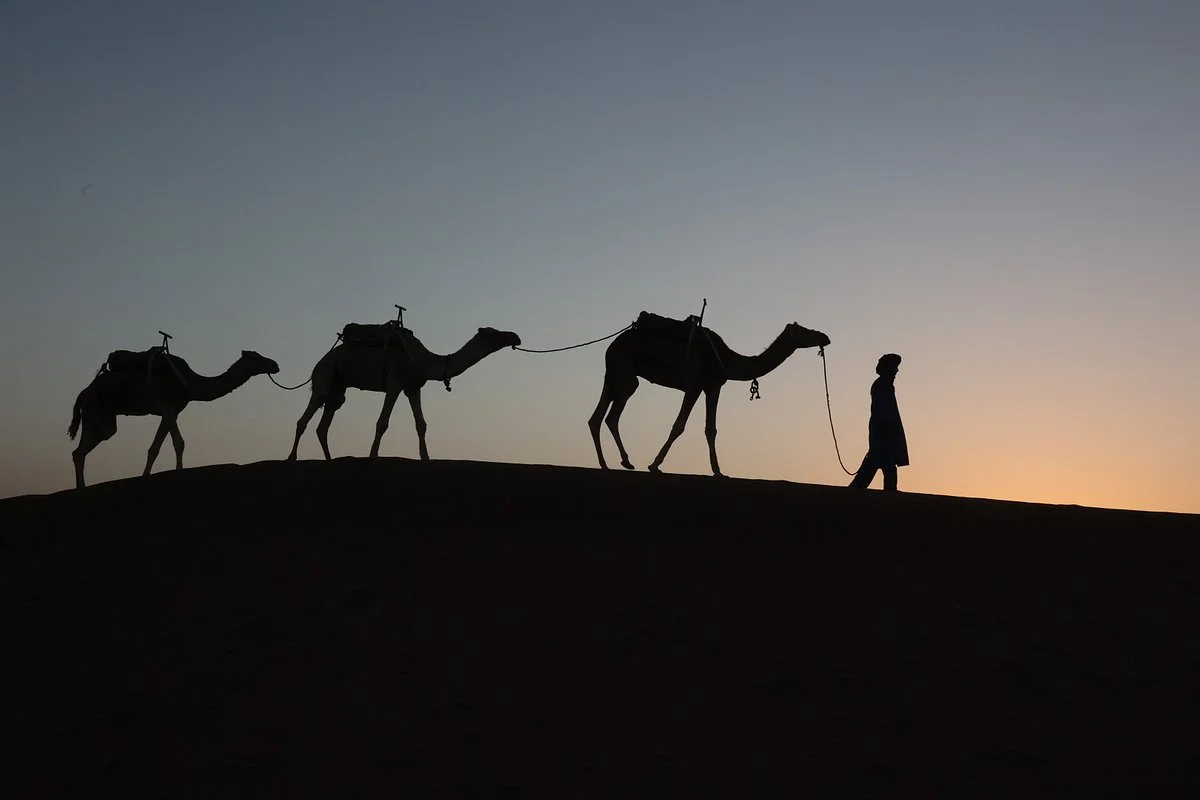 Tafoukt Travel