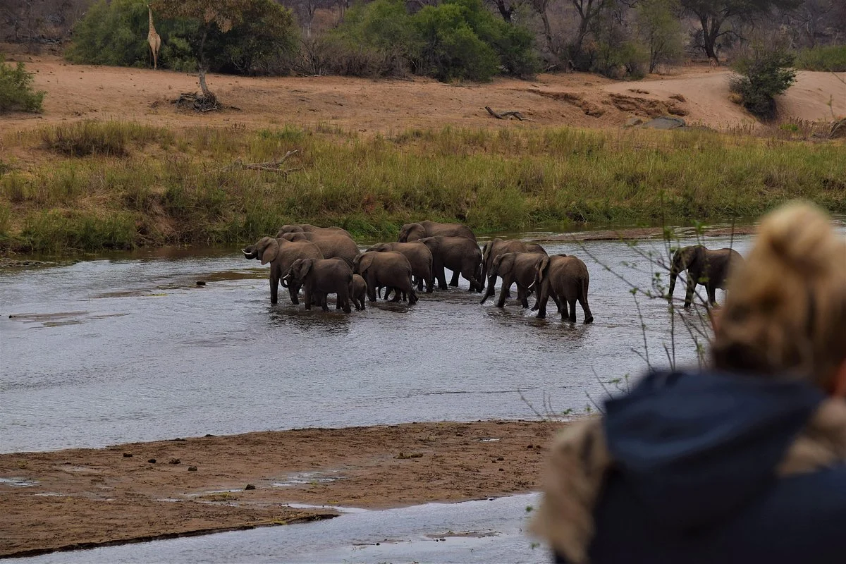 Malachite Tours and Safaris