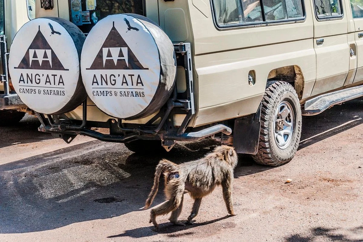 Angata Camps & Safaris