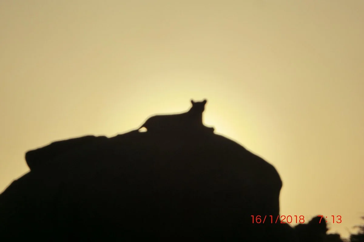Tanzania Insideout Discovery