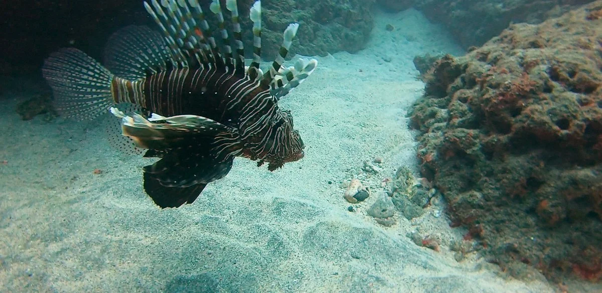 Giras Aqua Diving