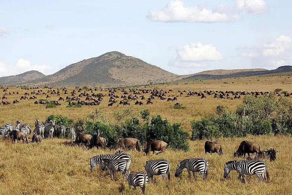 xopum safaris africa