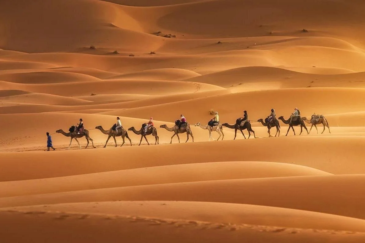La Luna Del Sahara Tours