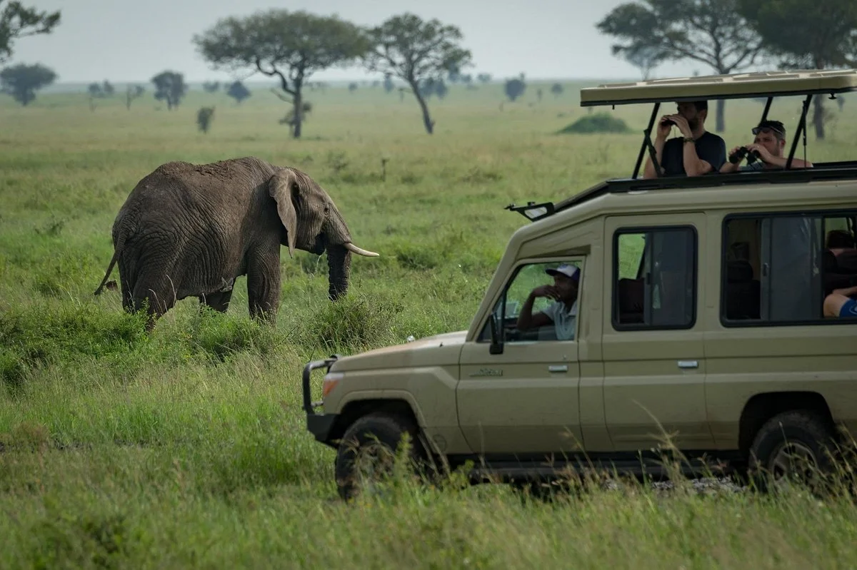 African Safari Kingdom Inc.