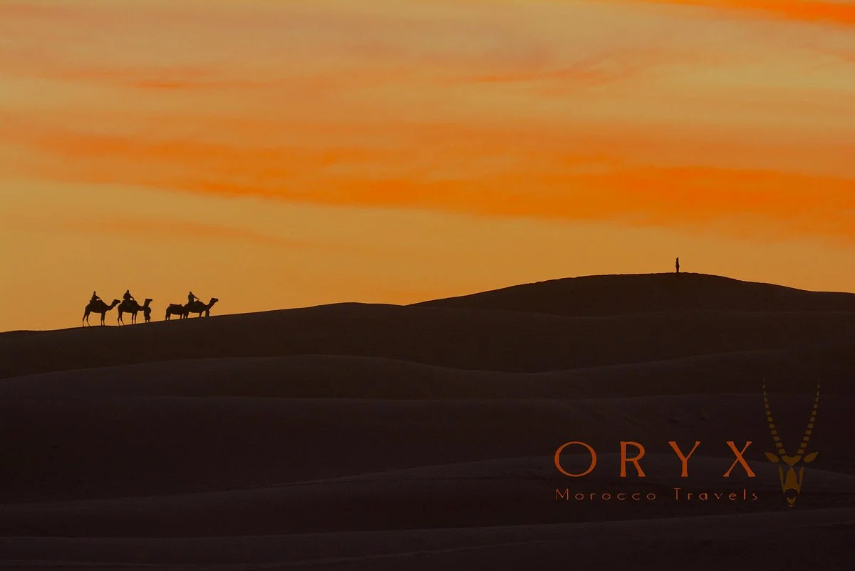 Oryx Morocco Travel