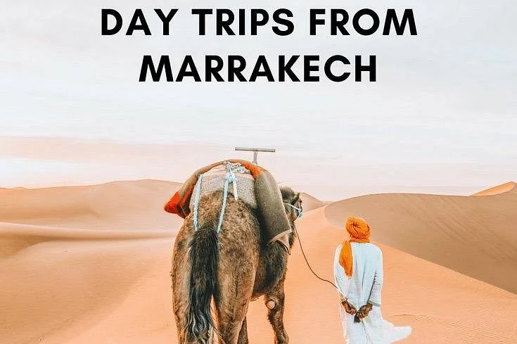 marrakech day trip